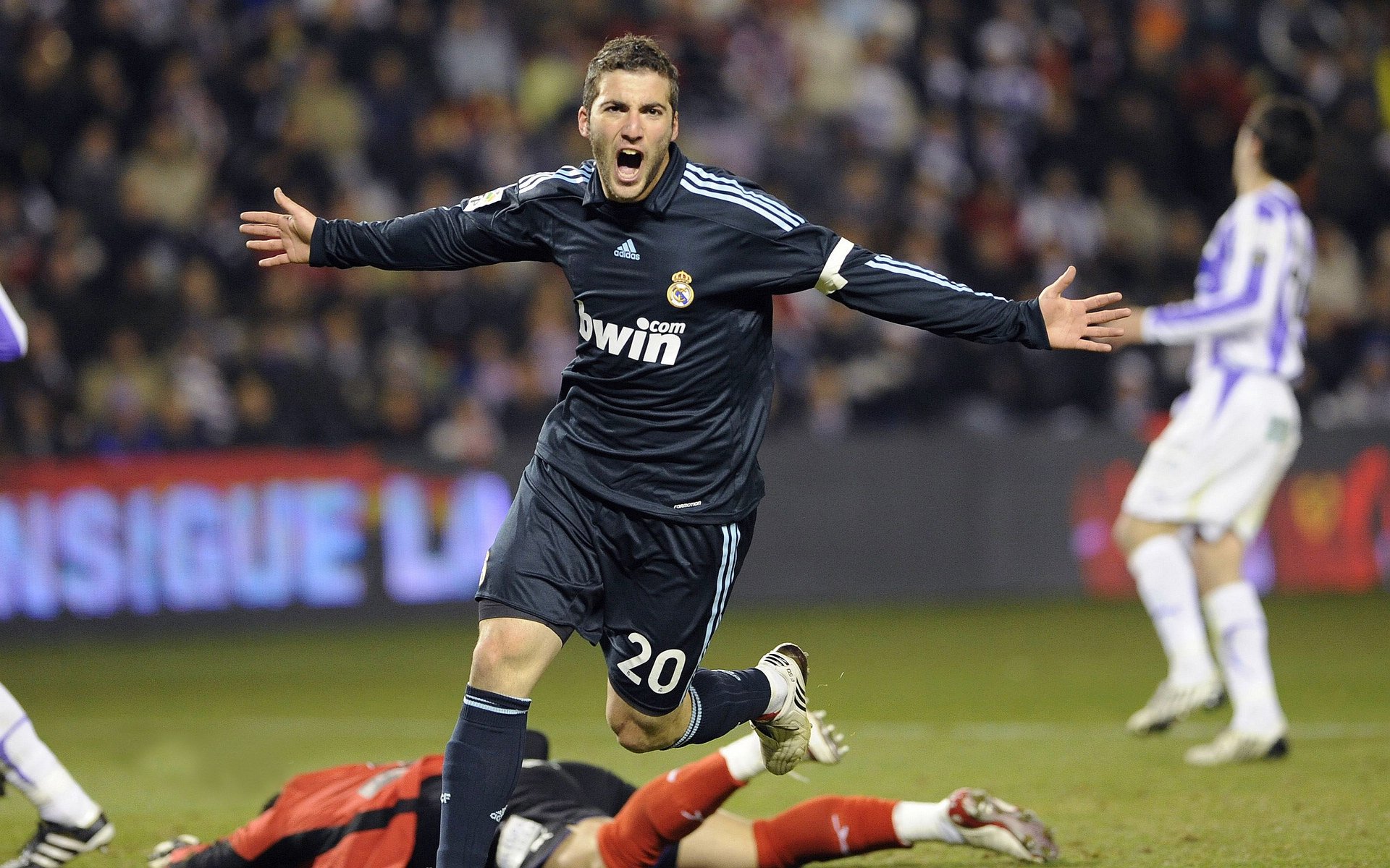 爱游戏智能体验-生态体育：绿色、低碳的未来足球场景，什么是生态体育